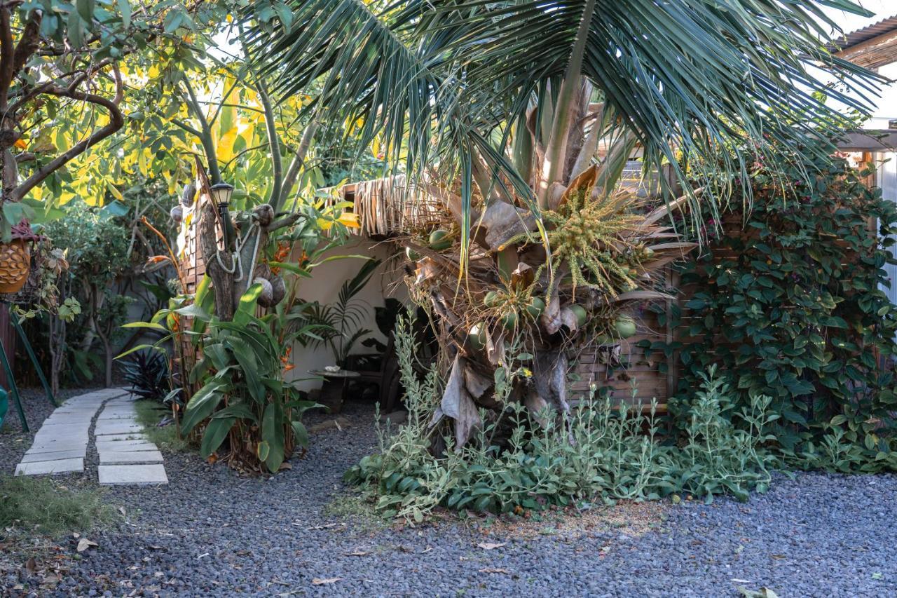 Douceur Tropicale Proximite Plage Et Commerces Punaauia  Dış mekan fotoğraf
