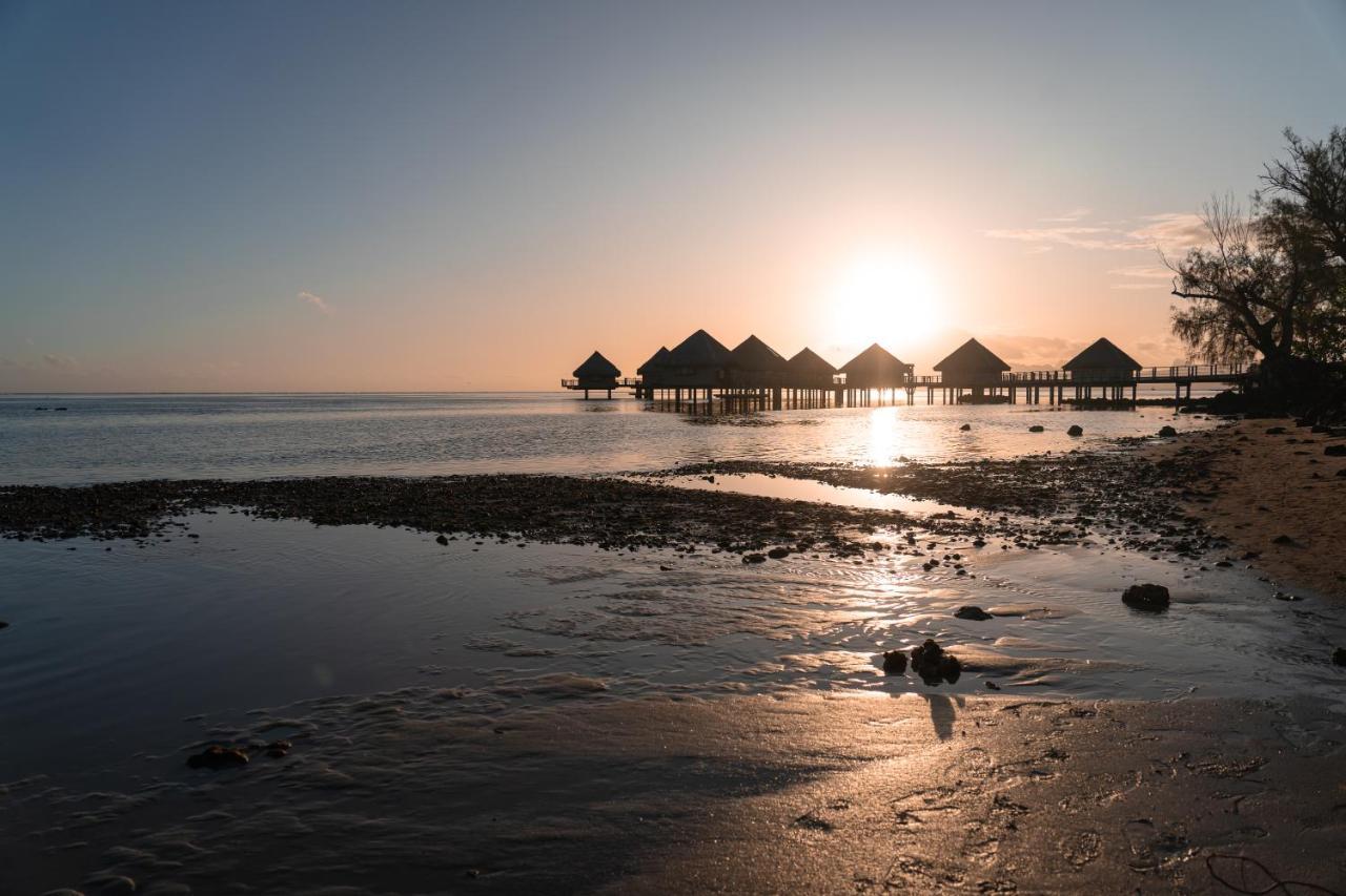 Douceur Tropicale Proximite Plage Et Commerces Punaauia  Dış mekan fotoğraf
